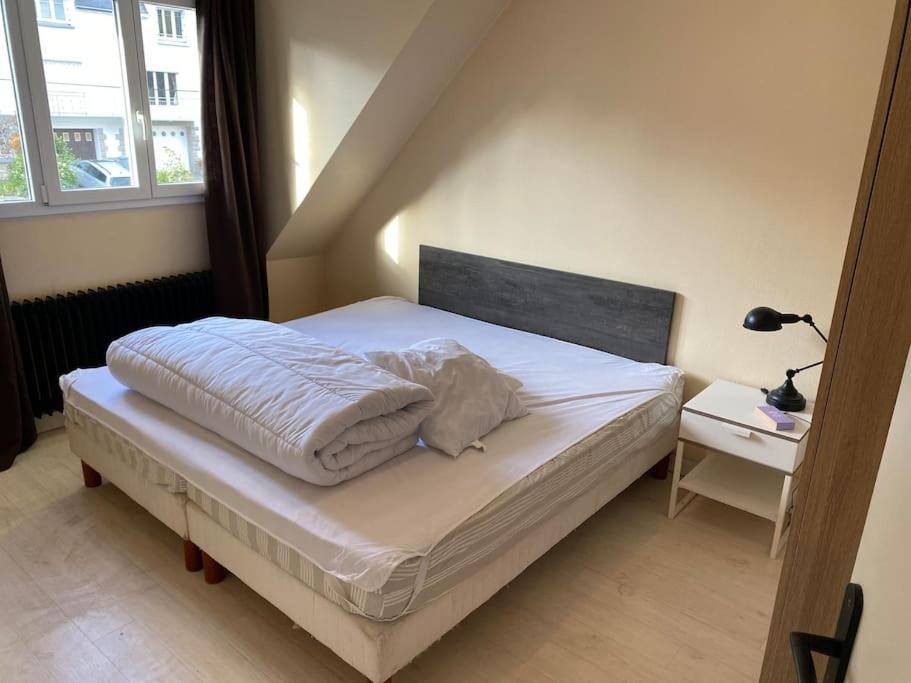 Appartement Spacieux 2 Chambres Quimper Extérieur photo